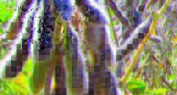 Indiana (non-irrigated) Indiana (non-irrigated)