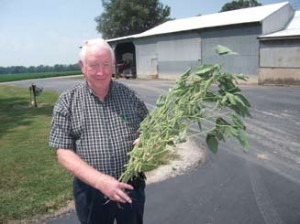 2011 – Southern Indiana Soybeans 2011 – Southern Indiana Soybeans